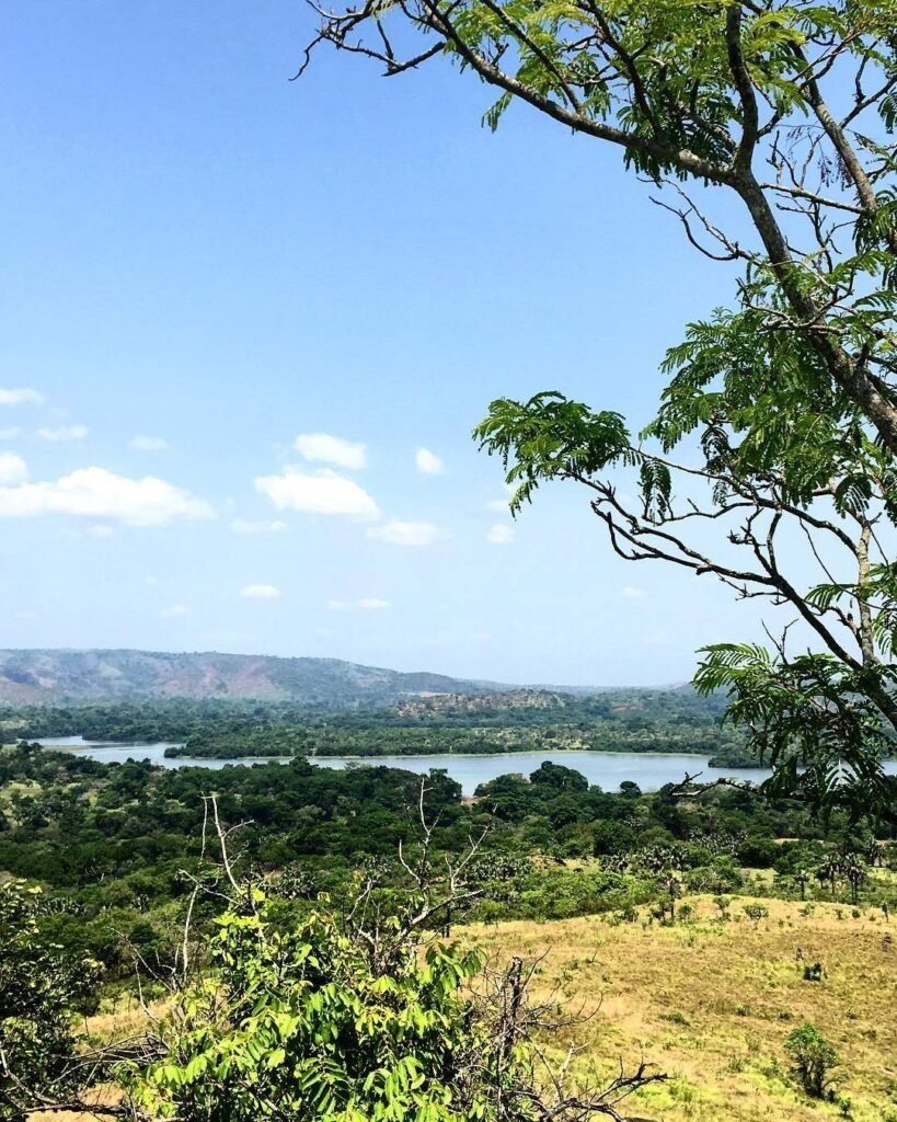 Yamoussoukro-Voyage-au-cœur-d’une-ville-unique-Réserve-Faune d'Abokouamekro