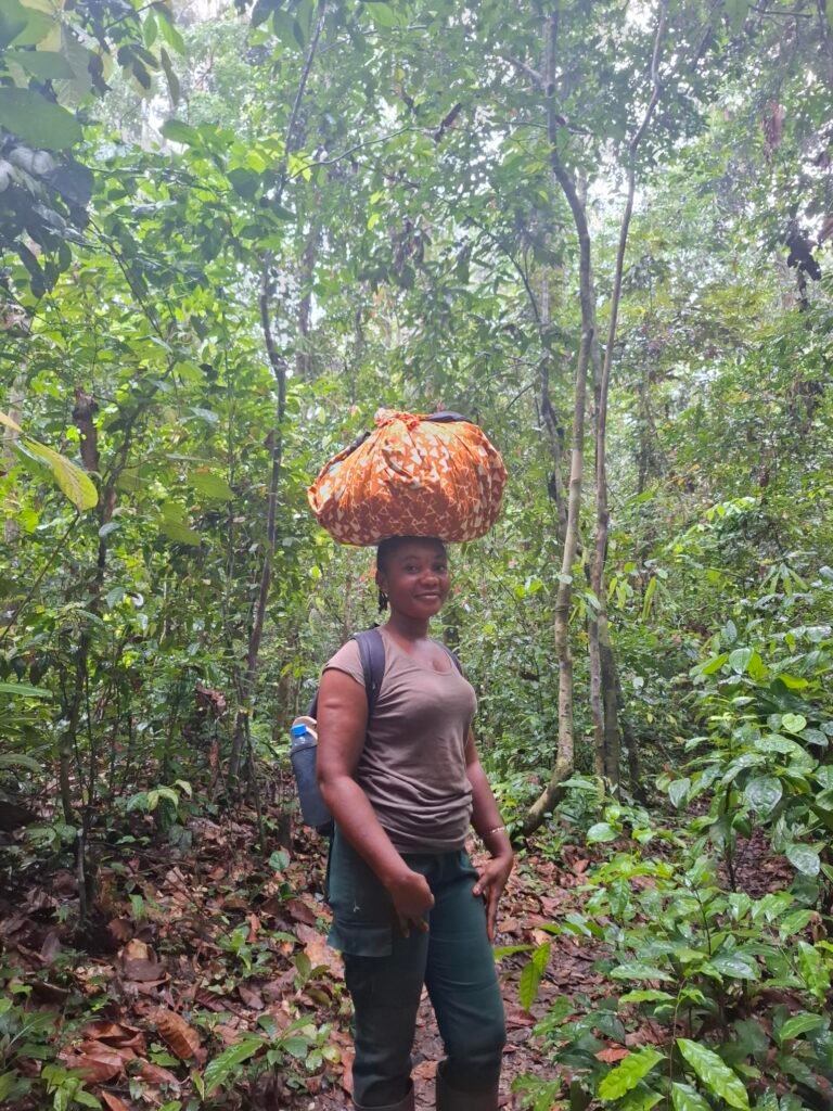 Parc-National-de-Taï-Forêt-primaire-et-biodiversité-unique-communaute-locale