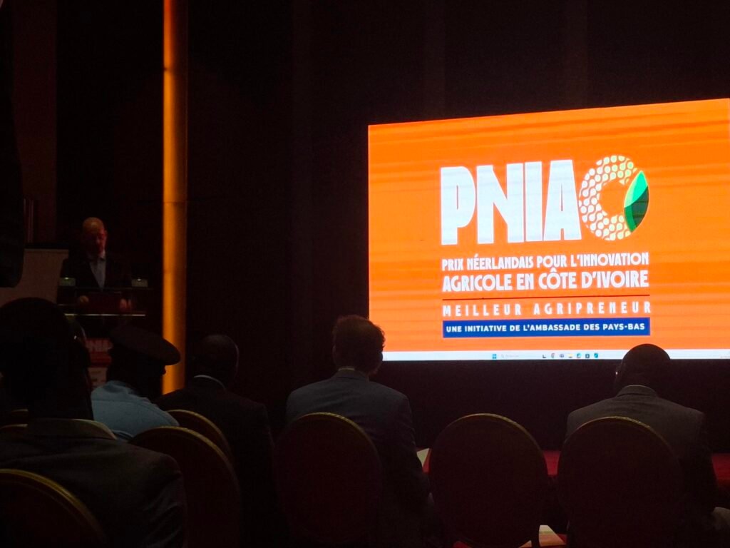 Emploi-en-Côte-d'Ivoire-Comment-Trouver-un-Job-ou-reseauter