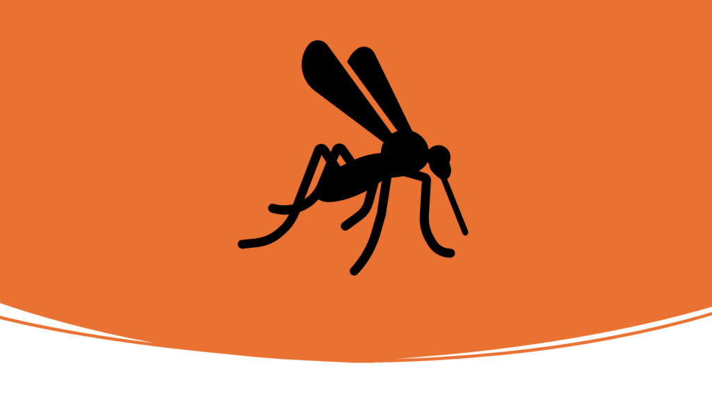 Risques-à-connaître-avant-de-voyager en-Côte d'Ivoire-risques-sanitaires- mosquito