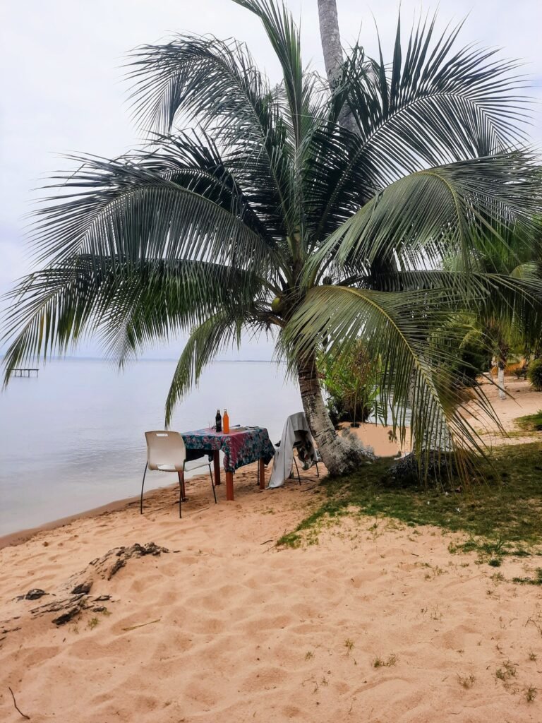 Jacqueville-Guide-Complet-pour-un-Séjour-Inoubliable-en-2025-la-scandinavie