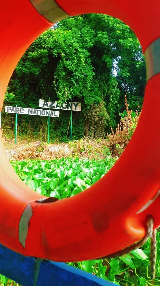 Grand-Lahou-le-vrai-guide-2025-pour-tout-decouvrir-parc-national-azagny