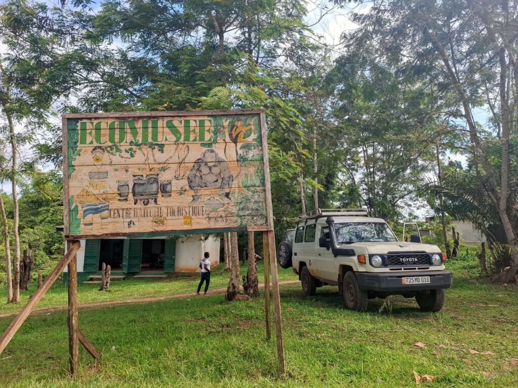 Parc-National-de-Taï-Forêt-primaire-et-biodiversité-unique-ecomusee