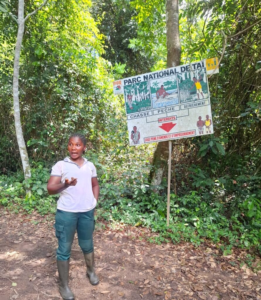 Parc-National-de-Taï-Forêt-primaire-et-biodiversité-unique-radonnee